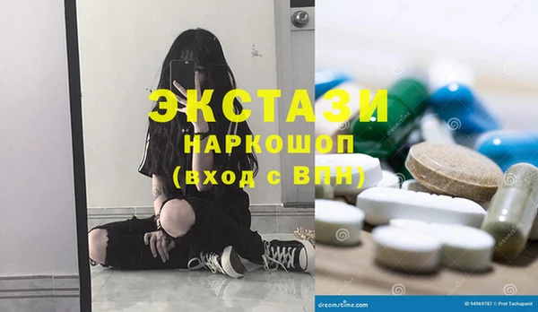 шишки Горняк