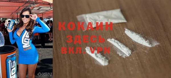 шишки Горняк