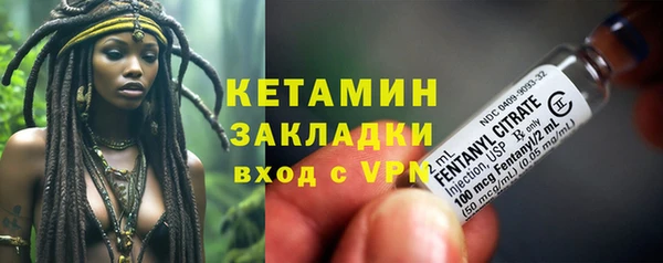 шишки Горняк