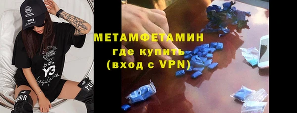 шишки Горняк