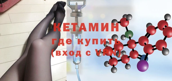 шишки Горняк