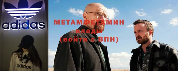 шишки Горняк