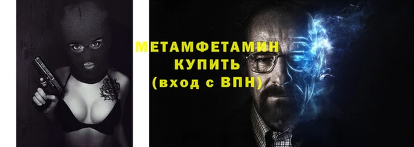 шишки Горняк
