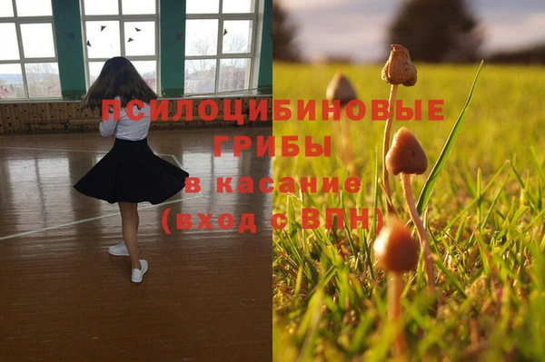 метадон Горнозаводск