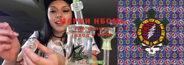 шишки Горняк
