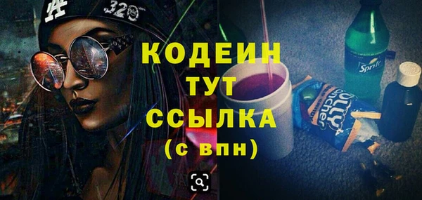 шишки Горняк
