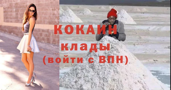 шишки Горняк