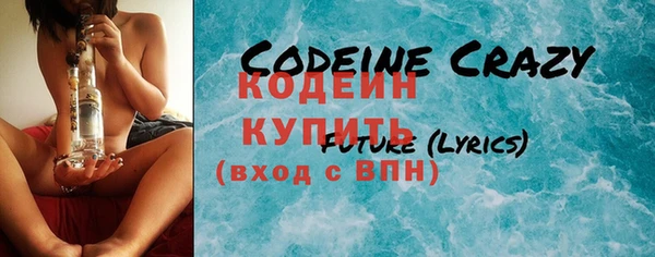 шишки Горняк