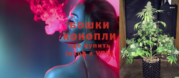 метадон Горнозаводск
