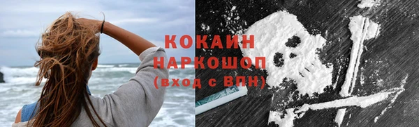 шишки Горняк
