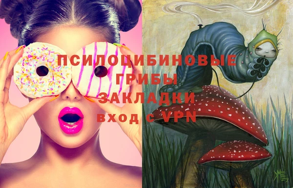 метадон Горнозаводск