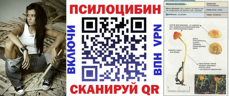 Псилоцибиновые грибы Psilocybe  купить наркотики сайты  Одинцово 